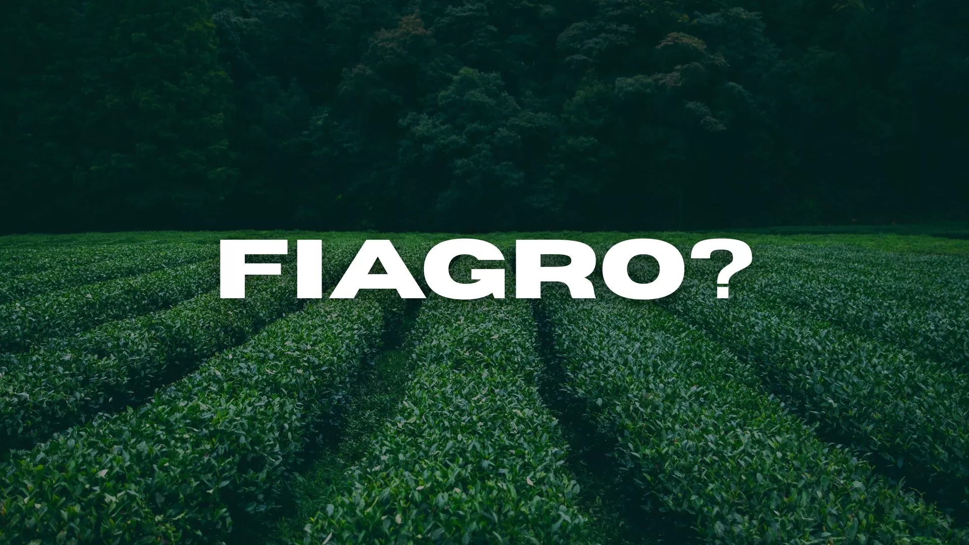 FIAGRO com os Maiores Dividendos de 2025: Veja os Melhores! O que é FIAGRO?